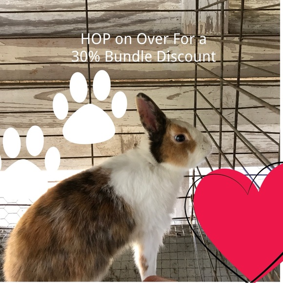 Hop on in for Added Discounts! - Picture 3 of 16